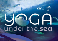 Yoga Under the Sea | Aquarium of the Bay